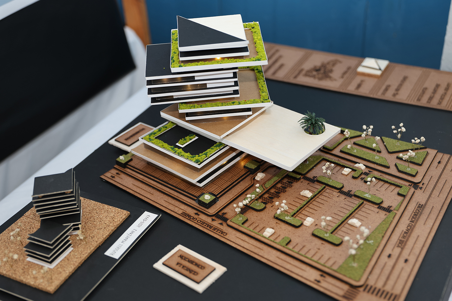 Miniatura 1